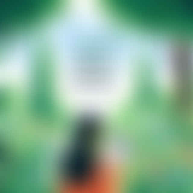 person reading reviews on a tablet with nature in the background