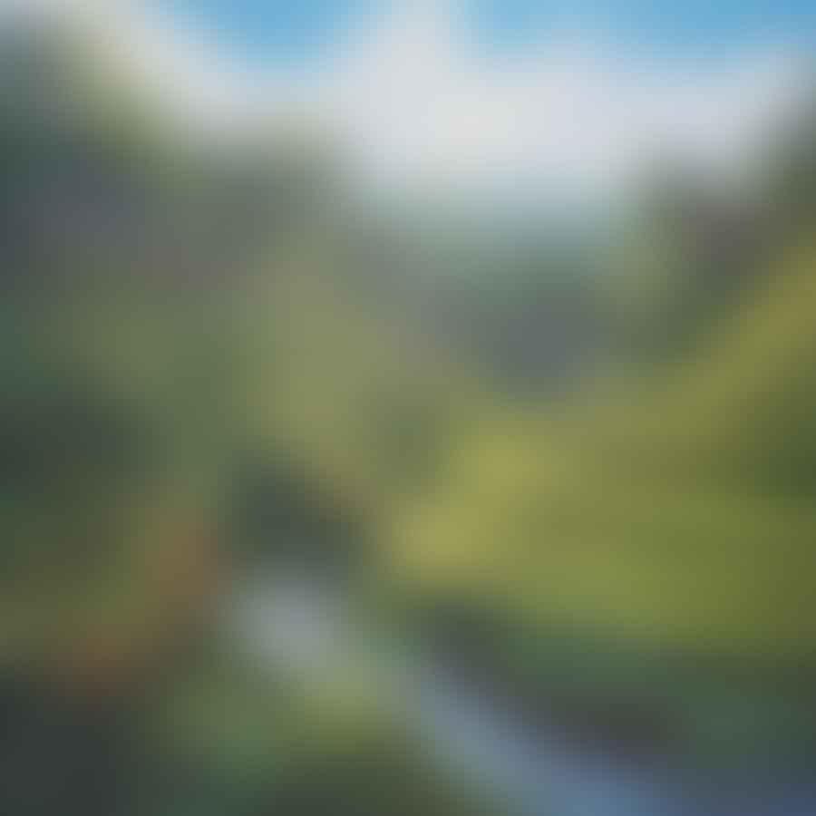 A picturesque scene of Balinese rice terraces