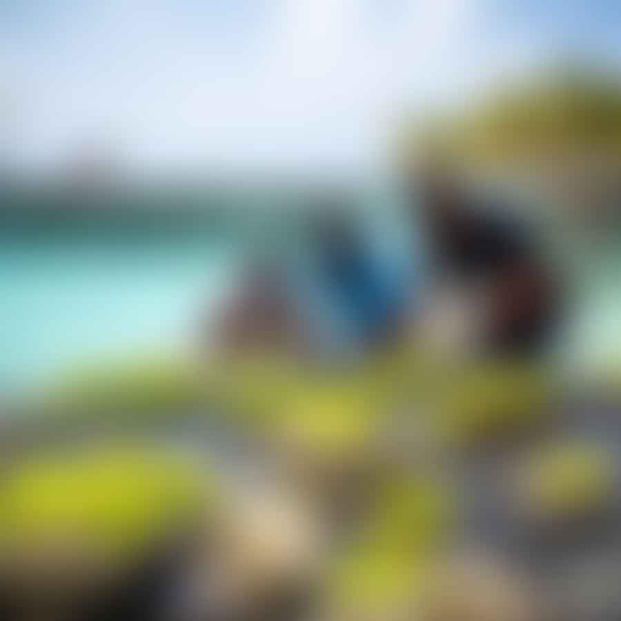 A group of eco-minded travelers participating in a coral reef restoration project in the Maldives, transplanting healthy coral fragments onto artificial structures. In the background, crystal-clear waters reveal the vibrant marine life and stunning coral reefs of the Maldives.