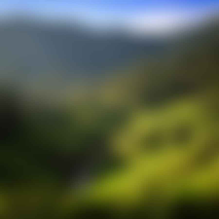 A guided tour through the stunning Jatiluwih rice terraces