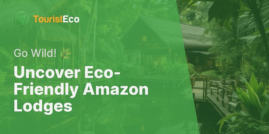 Uncover Eco-Friendly Amazon Lodges - Go Wild! πΏ