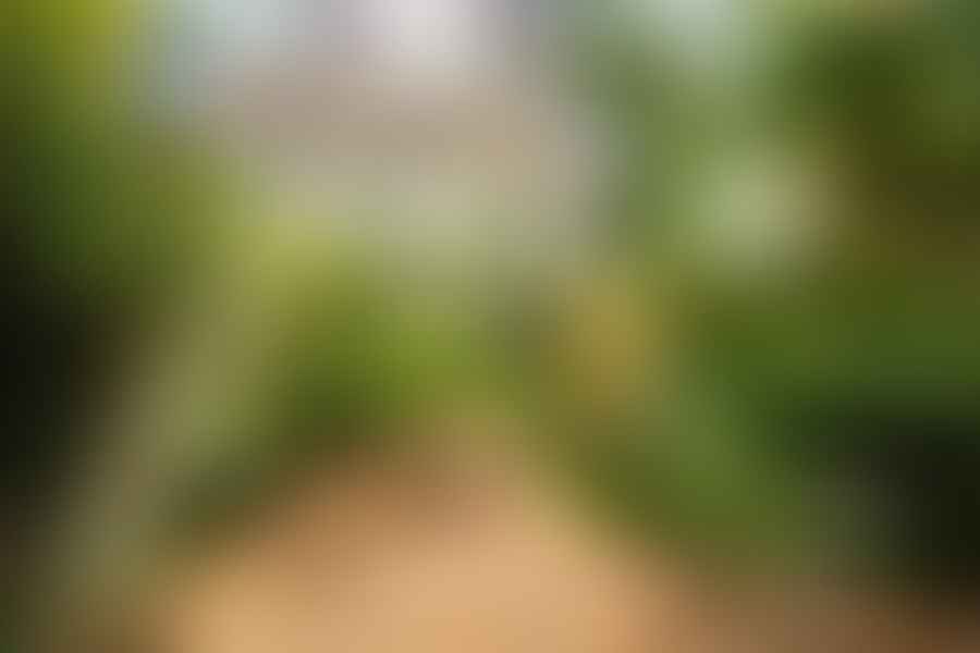 wildlife sanctuary visit